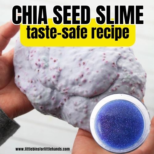 Chia Seed Slime