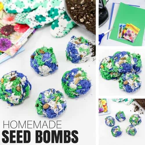 How To Make Seed Bombs