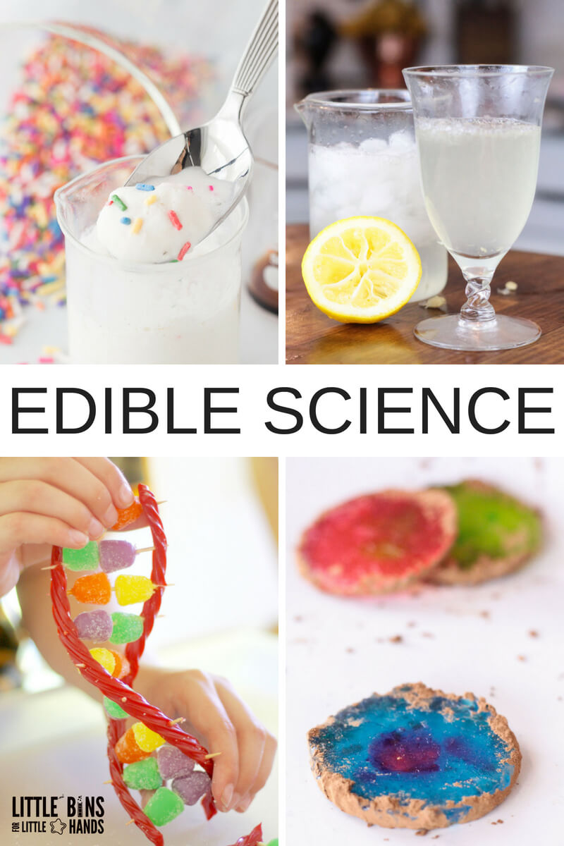 I don't know about you, but I have a kiddo who loves science and loves to eat. Really what's better than science you can eat? Not much! That's why we have decided to dive into edible science for kids this year. Tasty or mostly tasty homemade science activities to tickle the senses. Kitchen science for the win!
