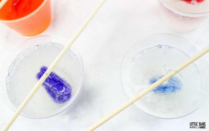 crystals forming on pipe cleaners in borax solution