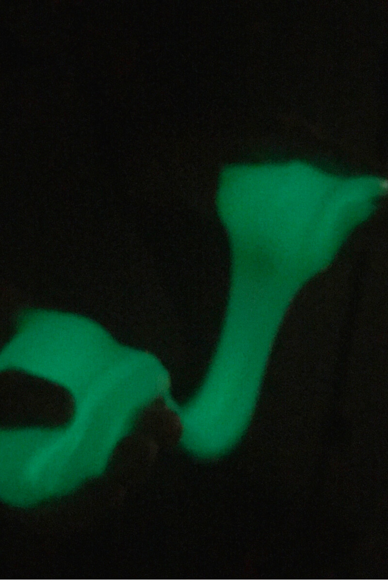 Elmers glow in the dark slime