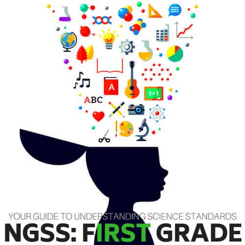 First Grade Science Standards (NGSS Series)