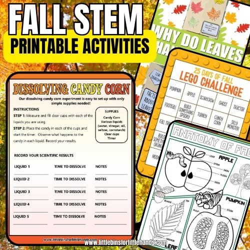 Must Try Printable Fall STEM Activities