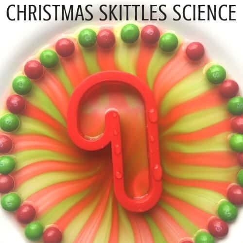 Christmas Skittles Science Activity