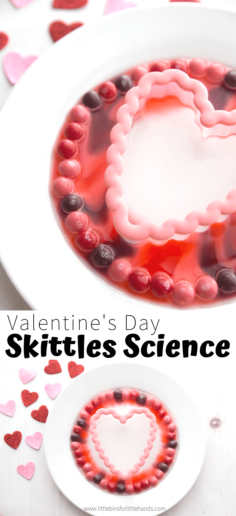 Easy Valentines Skittles Science Project for a twist on the classic science experiment with skittles candy.