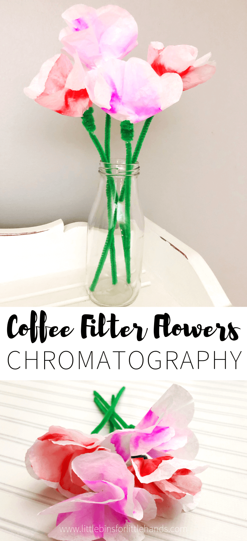 Learn how to make coffee filter flowers for simple solubility science and STEAM activity.