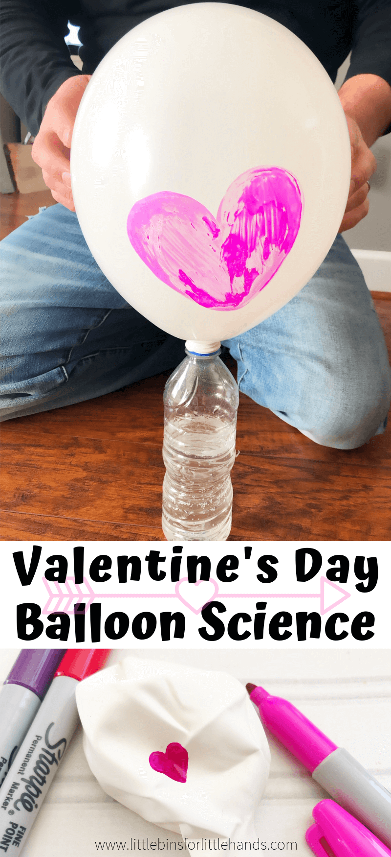 Easy Valentine balloon science experiment blowing up balloons with baking soda and vinegar