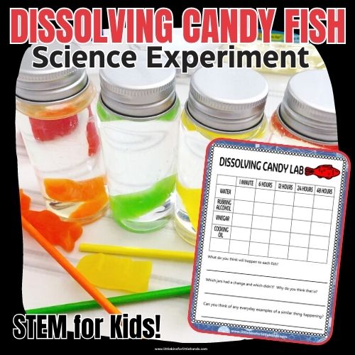 Dissolving Candy Fish Experiment