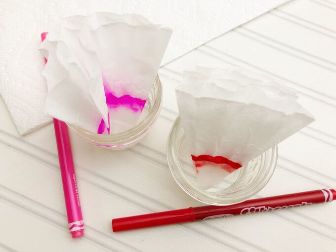 place the tip of folded coffee filter in a small jar of water so only the tip is in the water