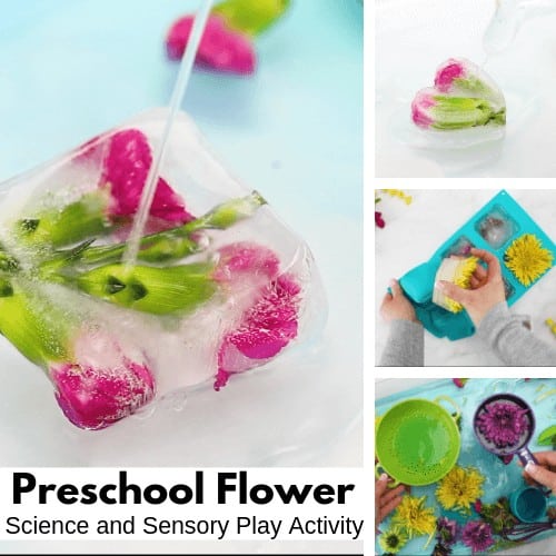 3 in 1 Flower Preschool Activities