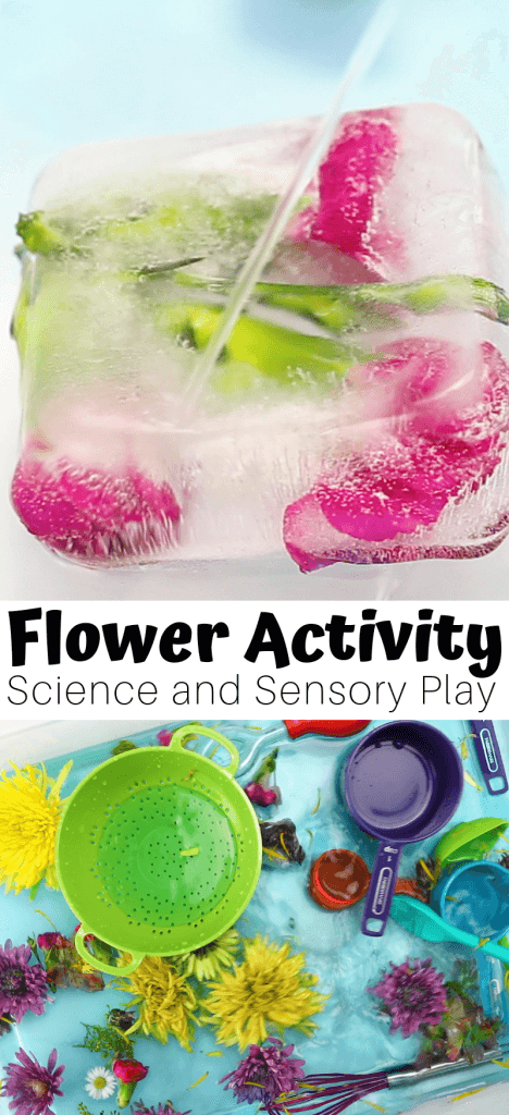 3 in 1 flower activities for preschoolers.
