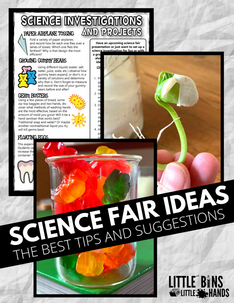 Easy Science Fair Projects