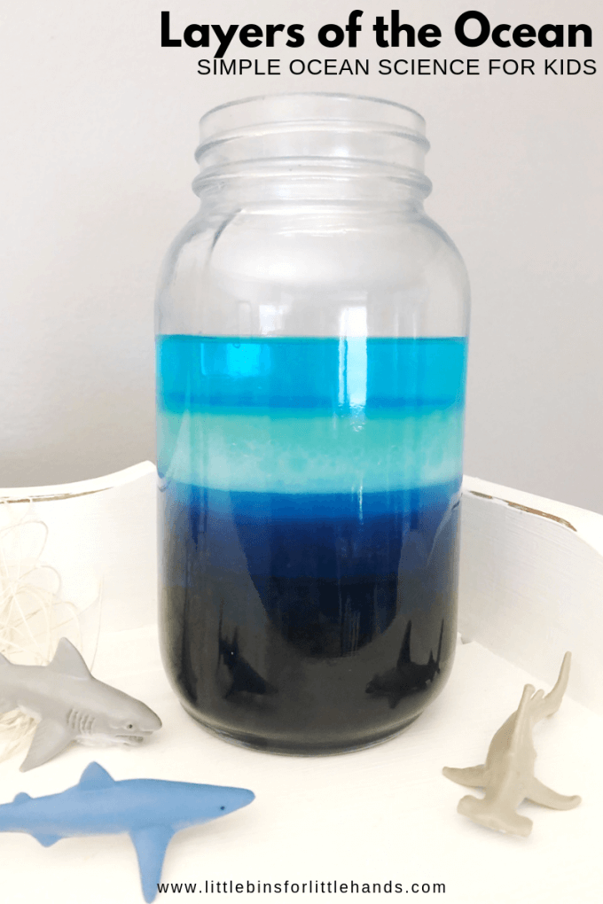 layers of the ocean science activity