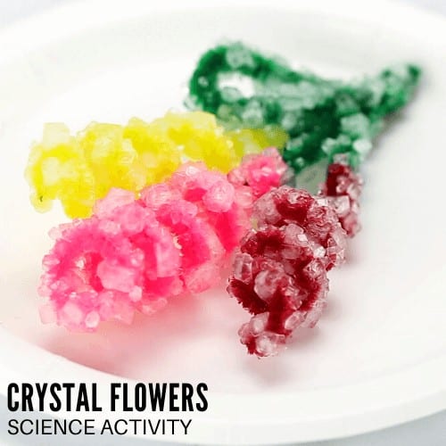 Crystal Flowers Spring Activity