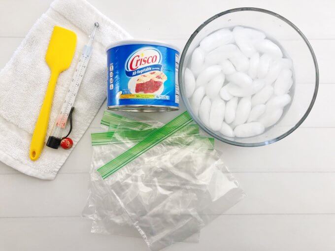 materials needed for blubber experiment