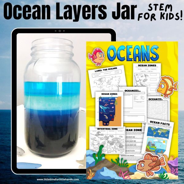 Layers Of The Ocean For Kids