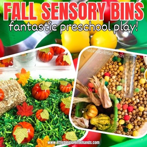 10 Best Fall Sensory Bins