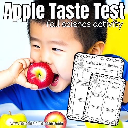 5 Senses Apple Taste Test