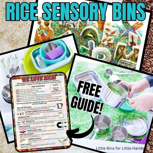 10 Simple Rice Sensory Bin Ideas