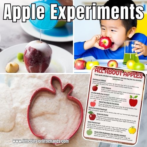 10 Apple Science Experiments