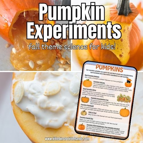 Pumpkin Science Experiments