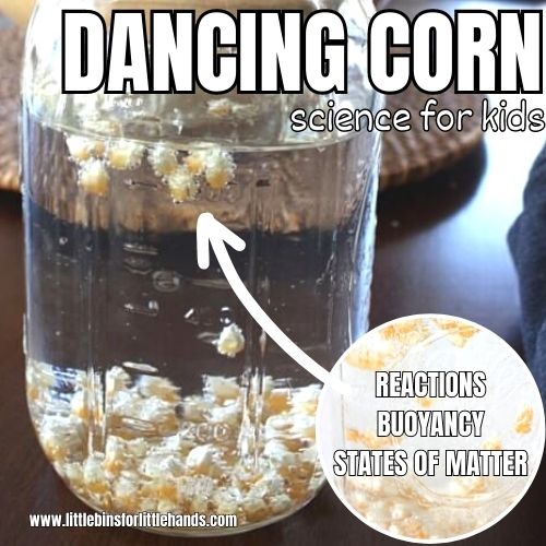 Dancing Popcorn Experiment