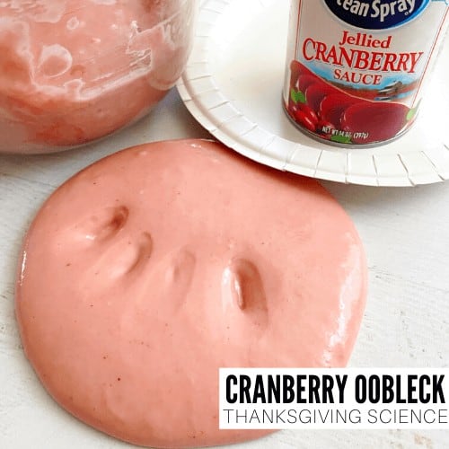Make Cranberry Oobleck Recipe!