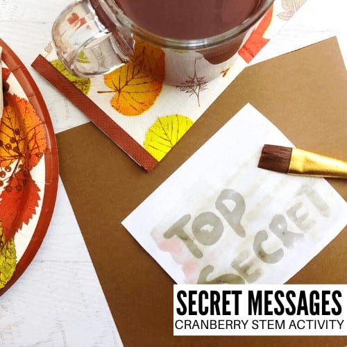 Make Cranberry Secret Messages