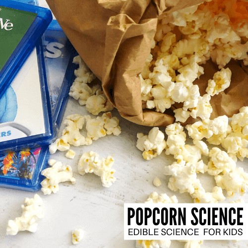 Make microwave popcorn in a bag and learn about the science of popcorn.  Why does popcorn pop?