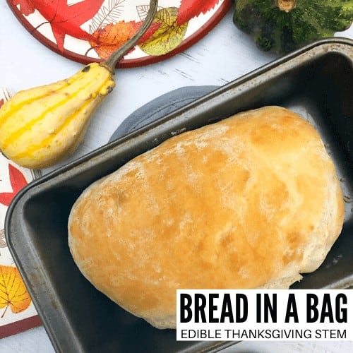 Bread In A Bag Recipe