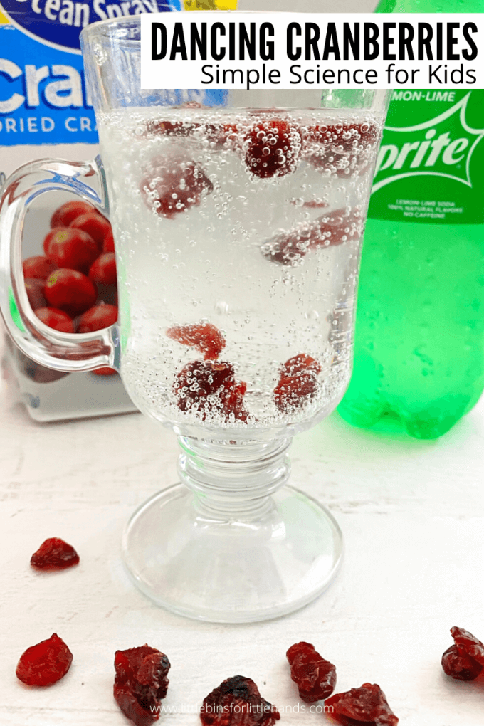 Try this fun Thanksgiving science experiment.  Can you make dried cranberries dance?  Dancing Cranberry Experiment