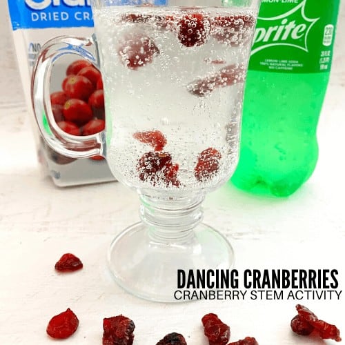 Dancing Cranberry Experiment