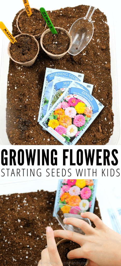 Easy Flowers To Grow This Spring