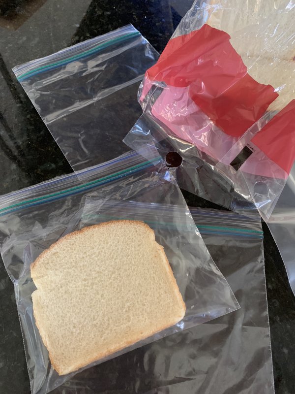 Science Project Ideas with Usable Tips From a Teacher!