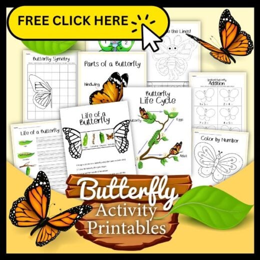 Animal Activities For Kids - Little Bins for Little Hands