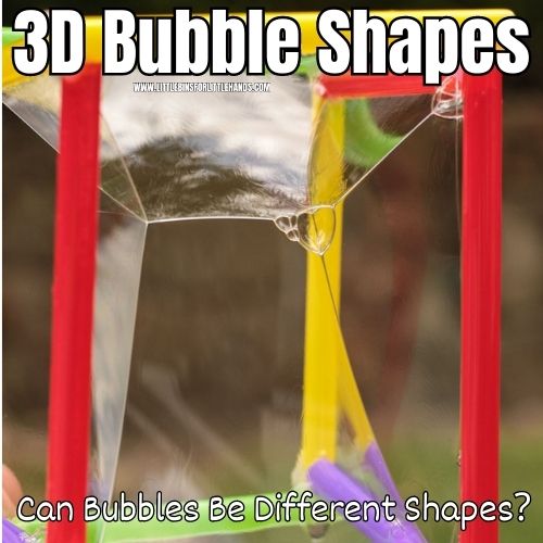 3D Bubble Shapes Activity