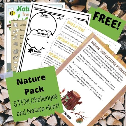 Get Outside! Free Nature Printables For Kids