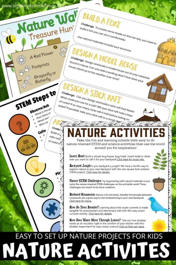 free printable nature worksheets