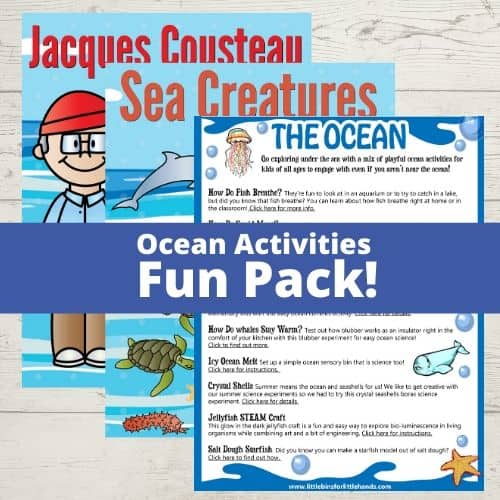 Ocean Printables and Ocean Activities To Explore the Ocean At Home!