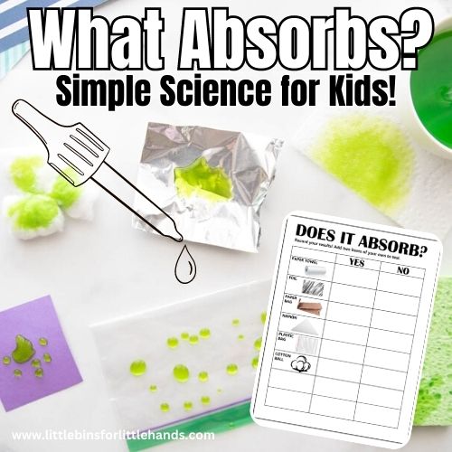 What Absorbs Water: Absorption For Kids