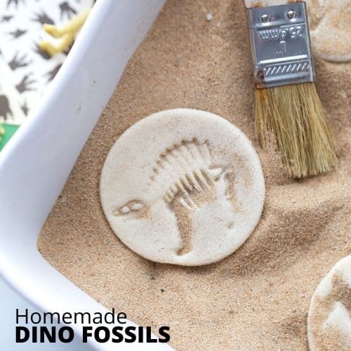 Be A Paleontologist with DIY Fossils!