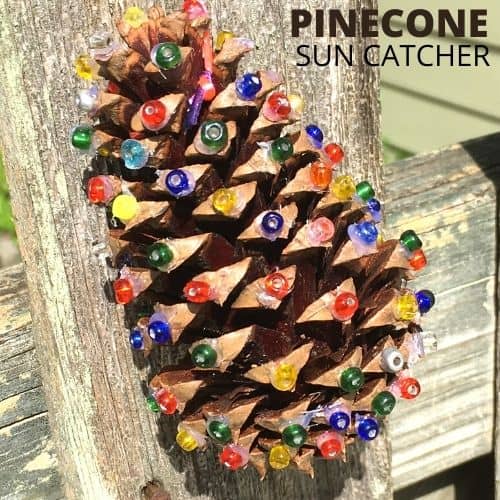 Pinecone Sun Catcher Craft