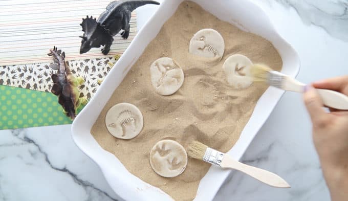 Be A Paleontologist with DIY Fossils! - Little Bins for Little Hands
