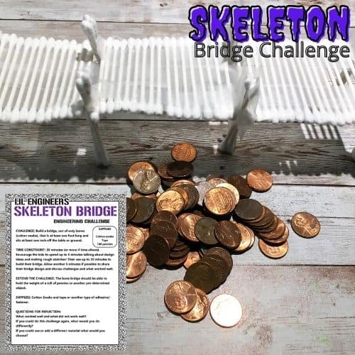 Skeleton Bridge STEM Challenge