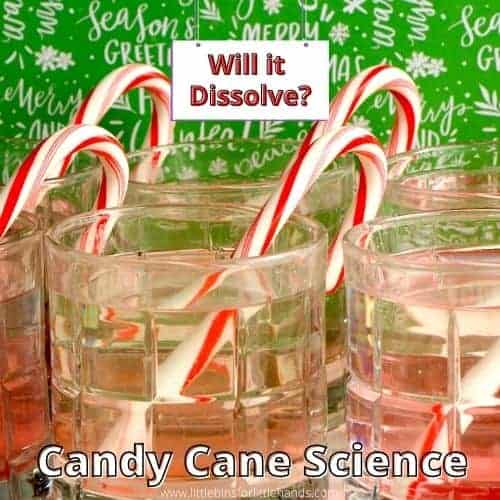 Dissolving Candy Cane Experiment