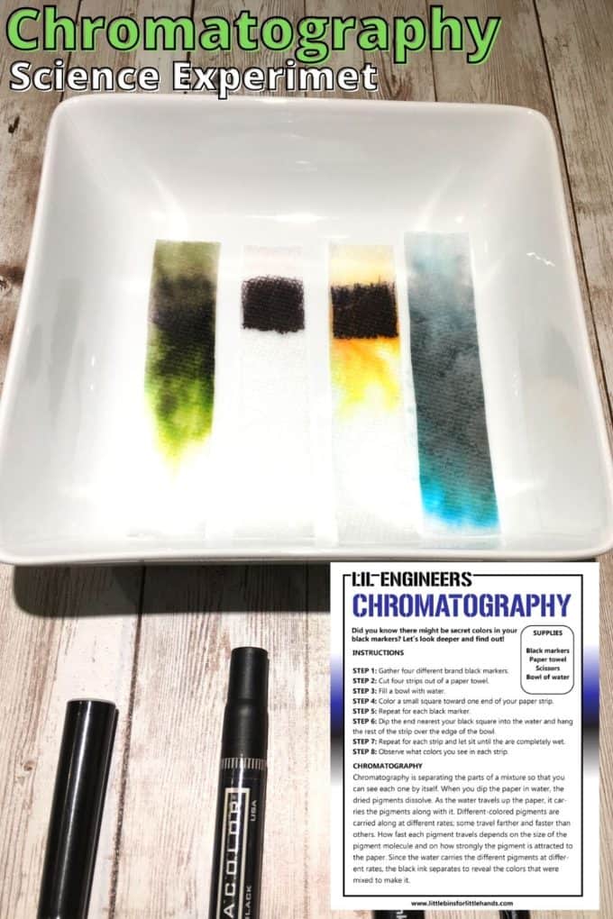 chromatography experiment with permanent markers