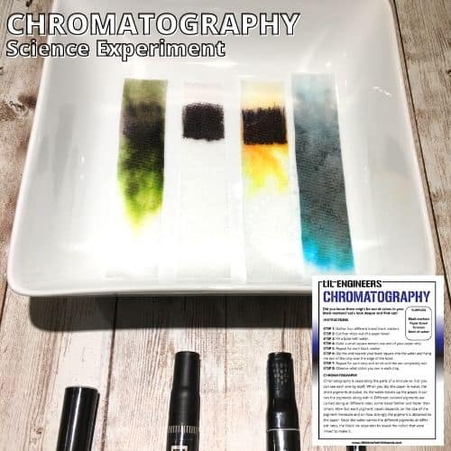 Marker Chromatography Experiment