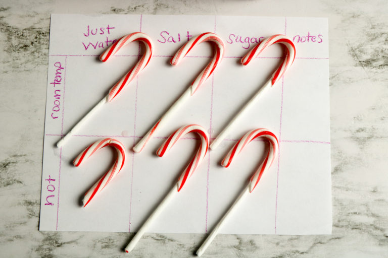 Dissolving Candy Cane Experiment Little Bins for Little Hands