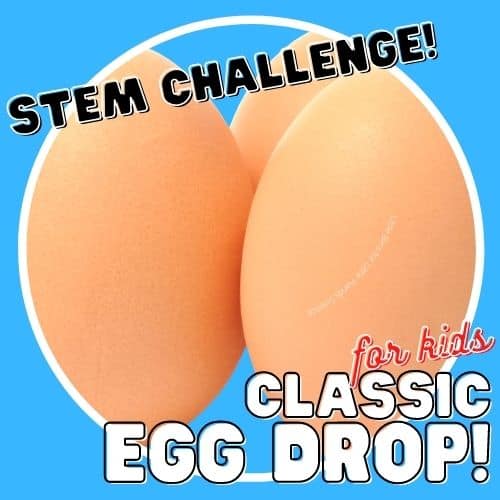 a bouncy egg experiment