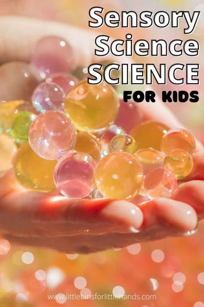 Sensory science activities for preschool and beyond